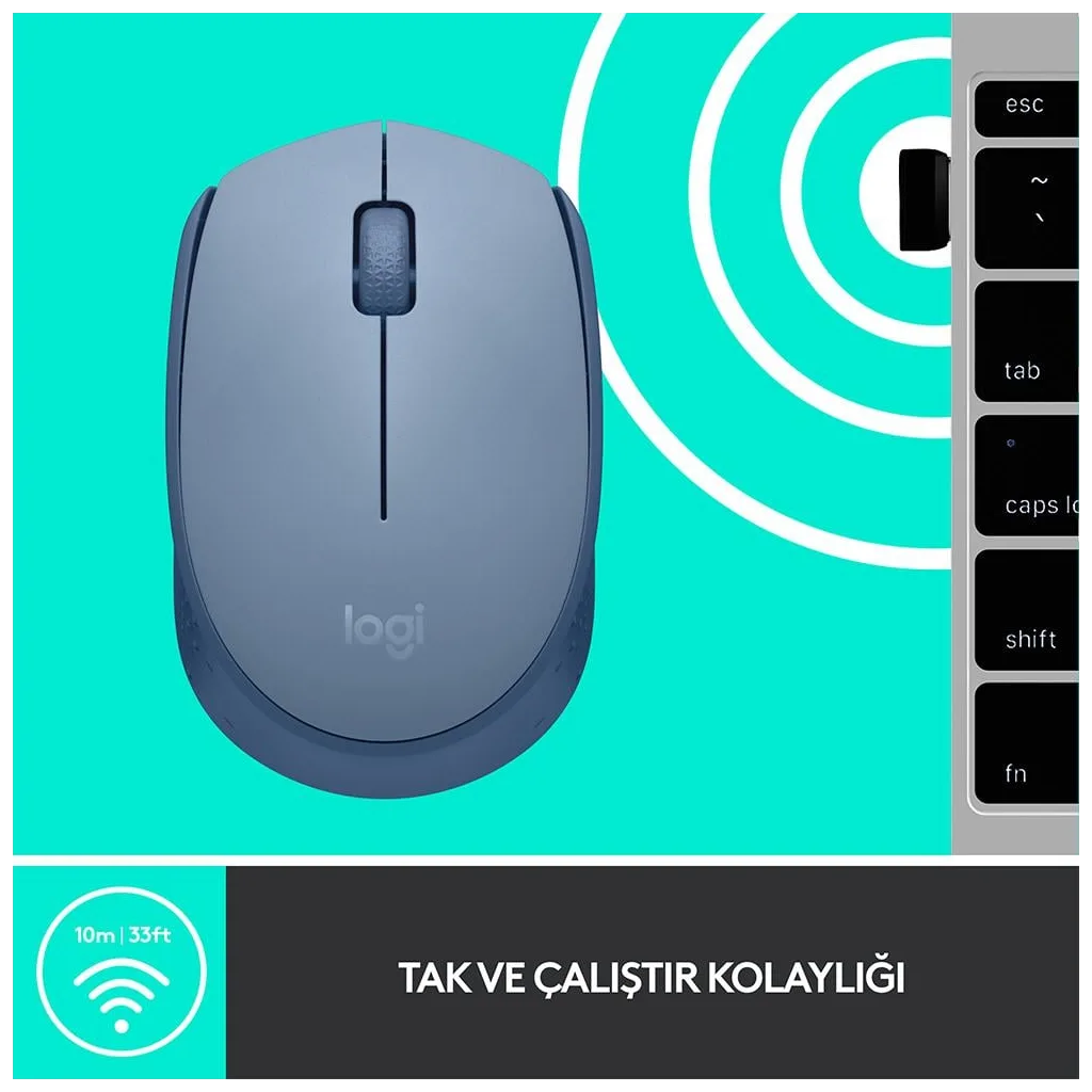 LOGITECH 910-006866, M171 BlueGrey, USB Nano 2,4G Kablosuz, 1000dpi, Optik, 3 Tuşlu, 12ay Pil Ömrü, Mouse